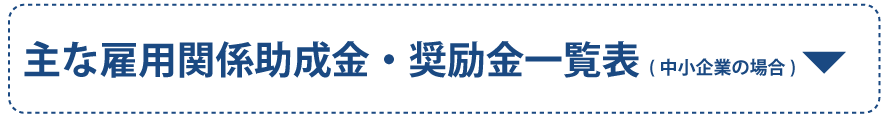 主な雇用関係助成金・奨励金一覧表