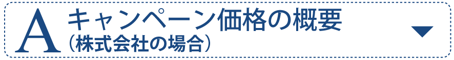 キャンペーン価格の概要